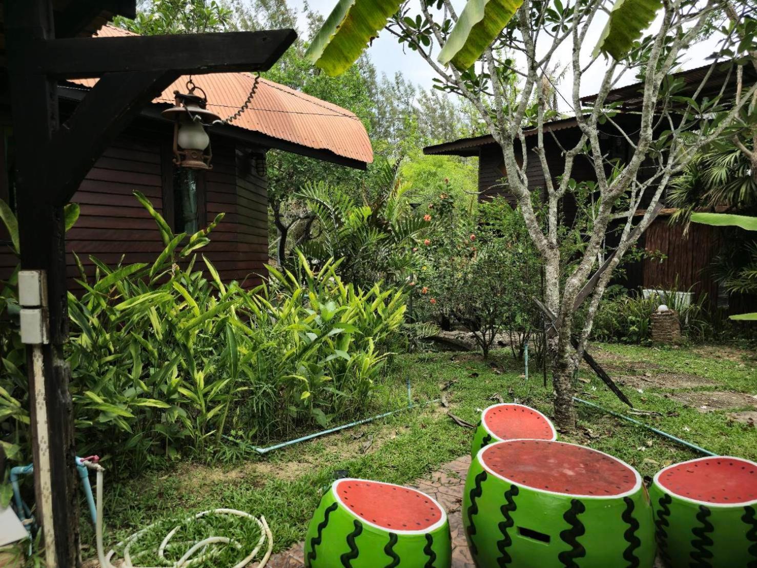 Kaengkrachan Boathouse Paradise Resort Kaeng Kachan Kamer foto